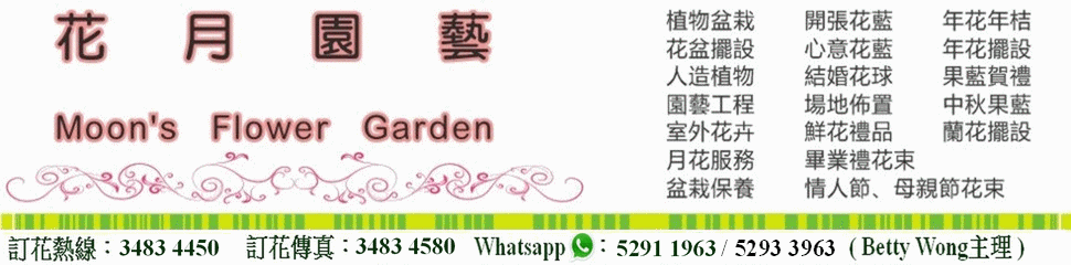 香港灣仔花店,花月園藝,Moon's Flower Garden,開張花藍,生日果藍,鮮花禮品,月花服務,盆栽保養,園藝工程,結婚花球
